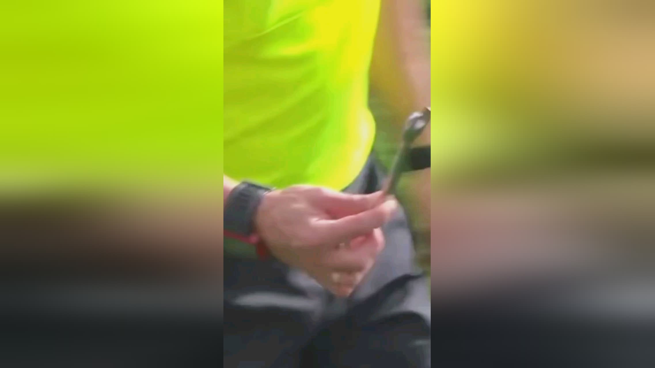 的关